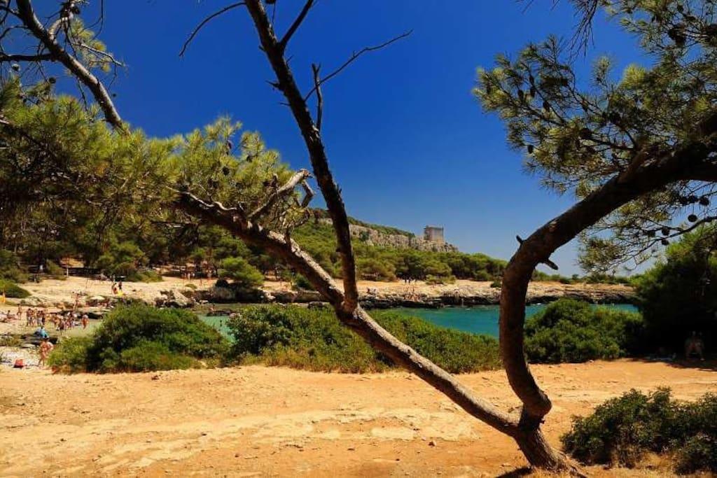 Cottage A 5 Minuti Dal Mare Нардо Екстер'єр фото